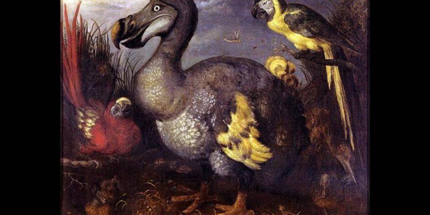 Dodo İskeleti 430 Bin Dolara Satıldı