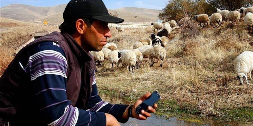 Koyunlara Cep Telefonundan Kaval Dinletiyor