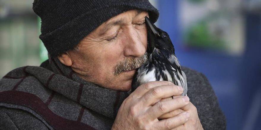 Onun Karga Sevgisi Bir Başka