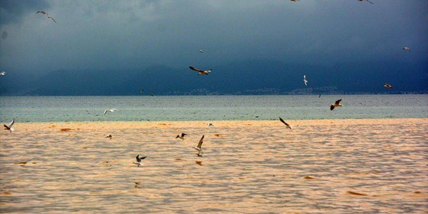 Edremit Körfezi'nde Denizin Rengi Değişti