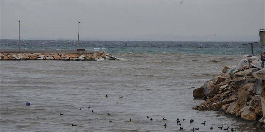 Yalova'da Deniz Kahverengiye Boyandı