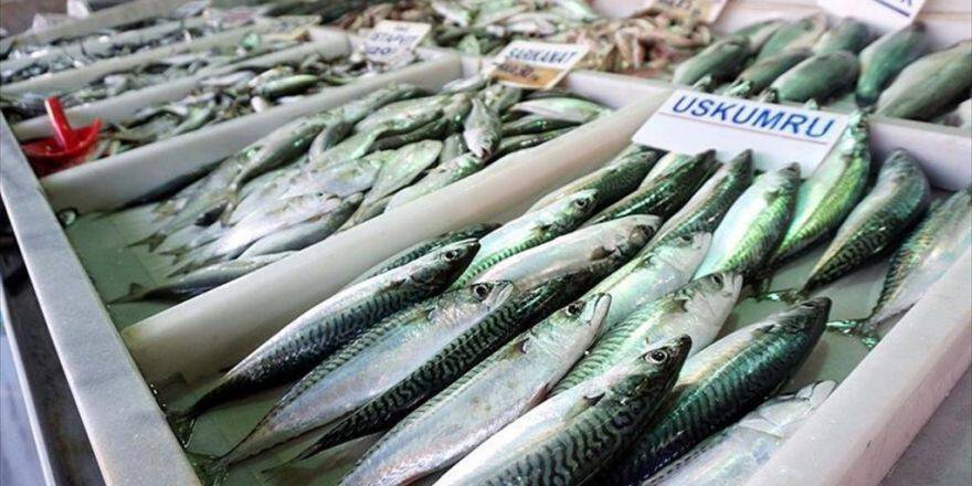 Soğuk Hava Balık Fiyatlarına Tavan Yaptırdı
