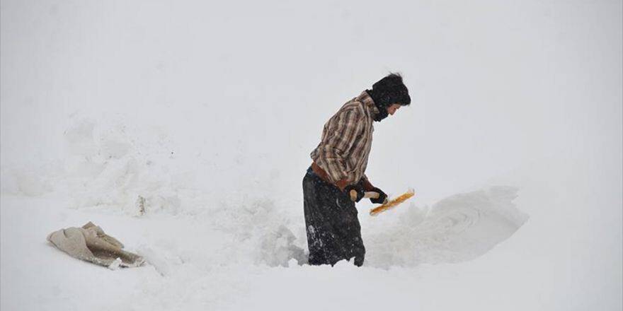 Hayvanlarının Yemini Yarım Metre Karın Altından Çıkarıyorlar