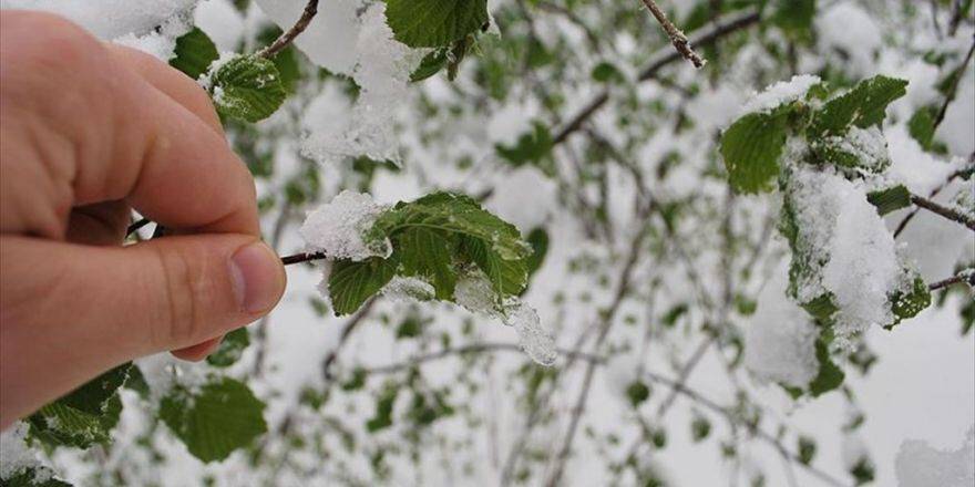 Meteoroloji'den 5 İl İçin Buzlanma Ve Don Uyarısı