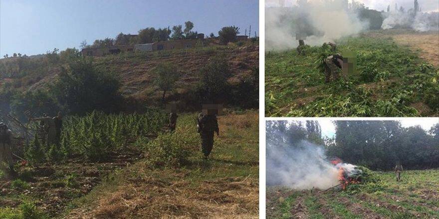 Terörün Finans Kaynağı Uyuşturucuya Lice'de Büyük Darbe