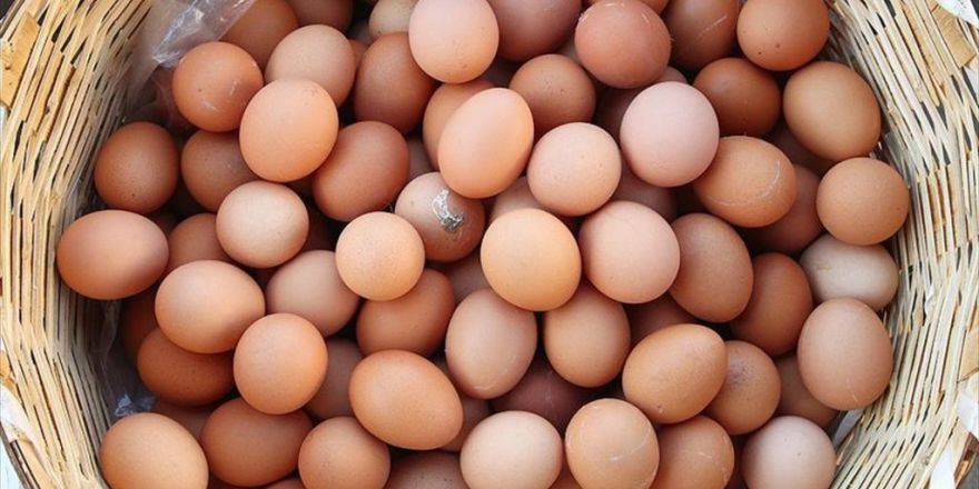 Yumurta Fiyatlarındaki Artış 'Geçici'