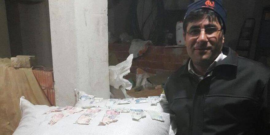 Dananın midesinden çıkan şey şok etti