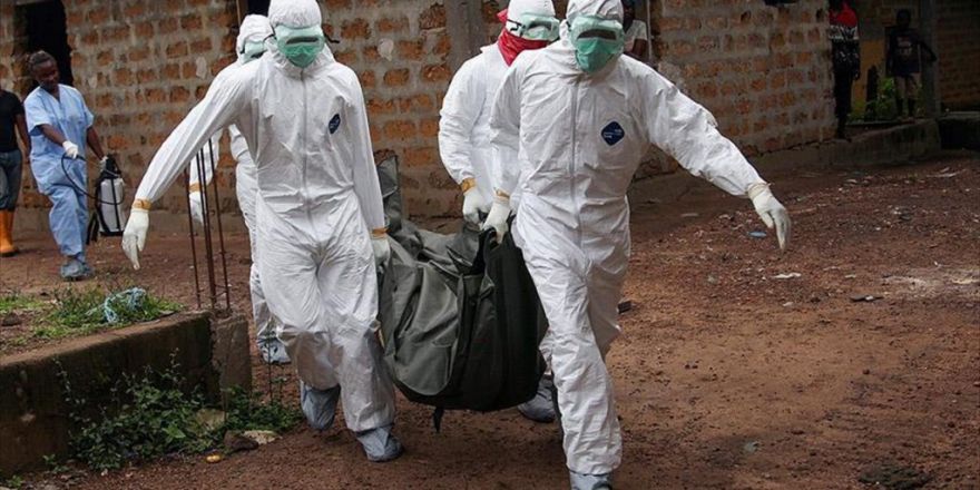 Ebola'ya Karşı Yeni Aşı Üretildi