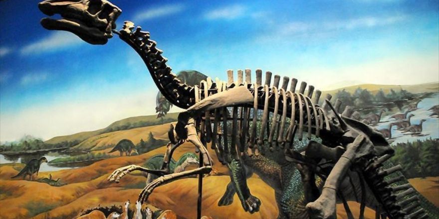 Bilim Adamları Diş Döken Dinozor Türü Keşfetti