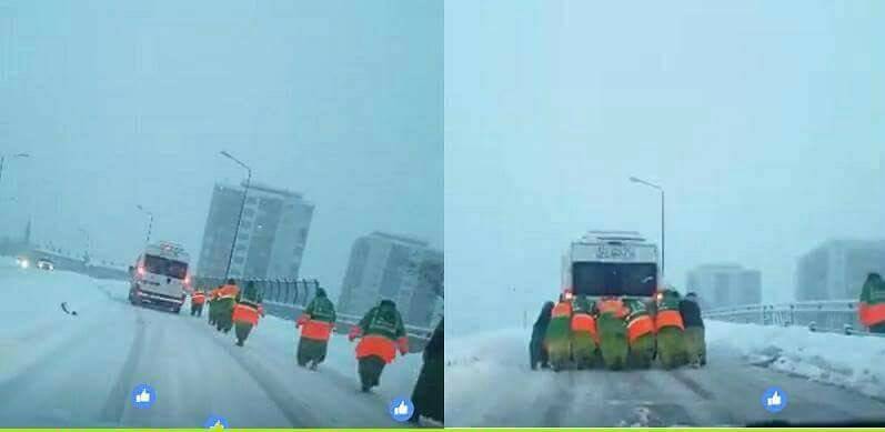 Konya'nın atom karıncaları