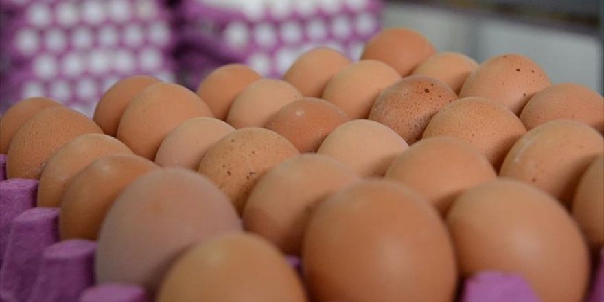 Tüketicinin Talebi Kahverengi Yumurtanın Fiyatını Uçurdu