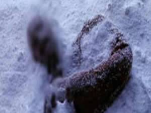 Tataristan'da 13 Kişi Donarak Öldü