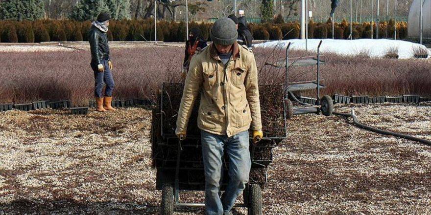 Vatandaşın 'Yeşil Yollar'da Seyahati İçin Üretim Yapıyorlar