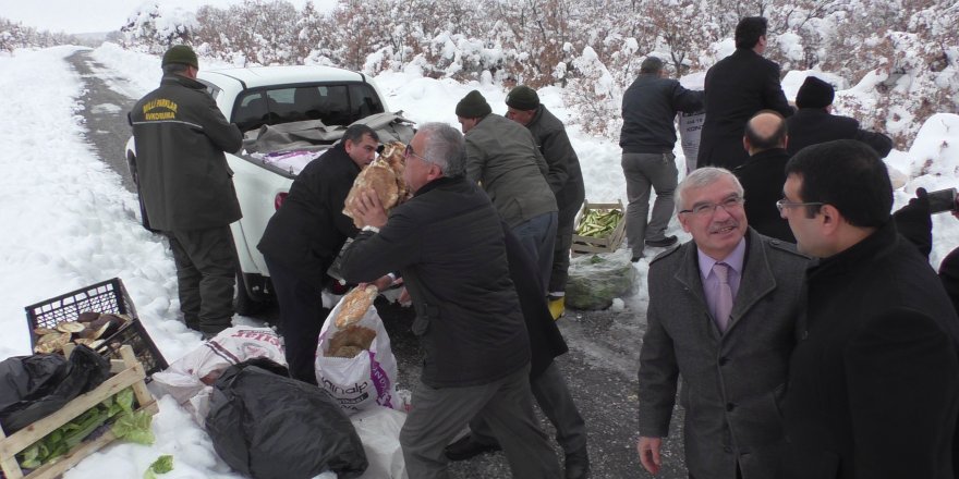 Sokak hayvanları unutulmadı