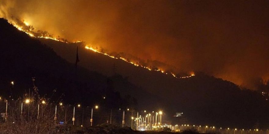 Sürmene'deki Orman Yangını Kontrol Altına Alındı