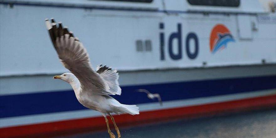 İdo'dan Sefer İptalleri