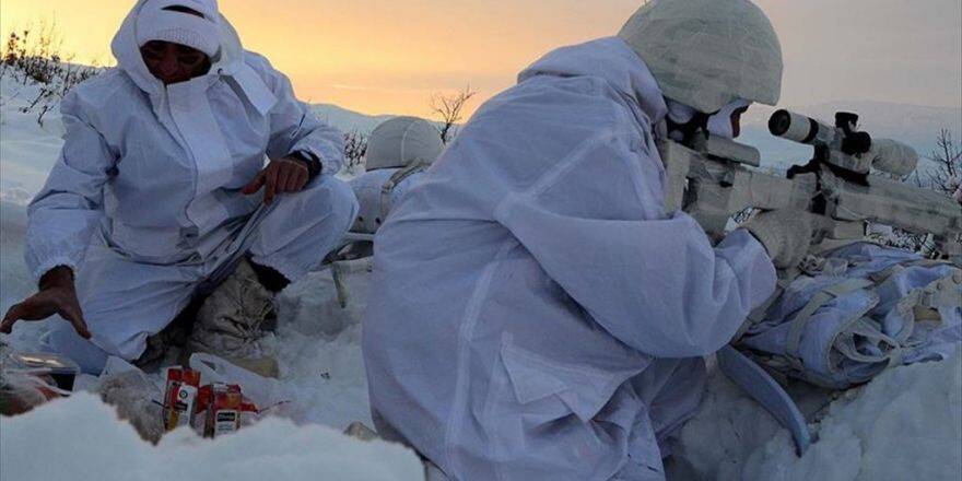 Bingöl'de Terör Örgütüne Ait 7 Sığınak İmha Edildi
