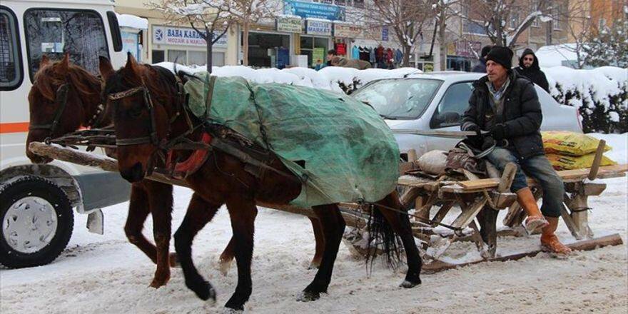 Ekmeğini Atlı Kızakla Kazanıyor