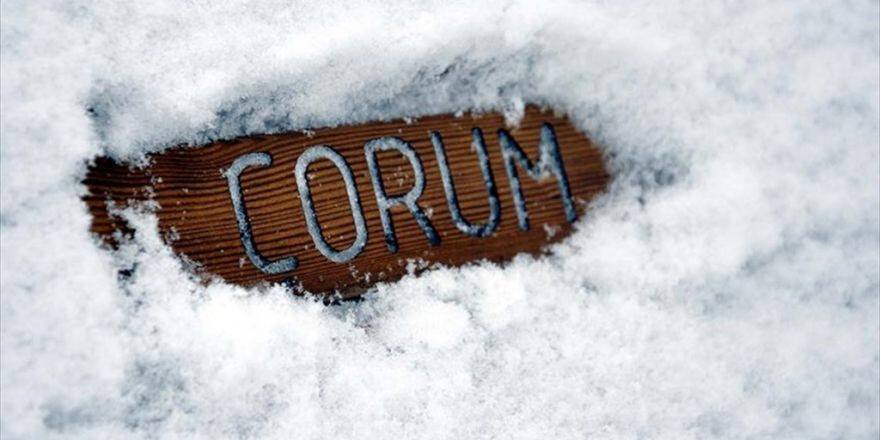 'Fetö/pdy Soruşturmalarında En Çok Gizli Tanık Çorum'da'