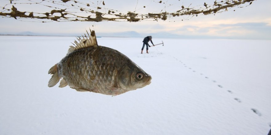 Beyşehir Gölü'nde "Eskimo usulü" balık avı