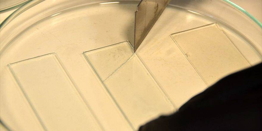 Yüzde 95 Kendini Onarabilen Polimer Malzeme Geliştirildi