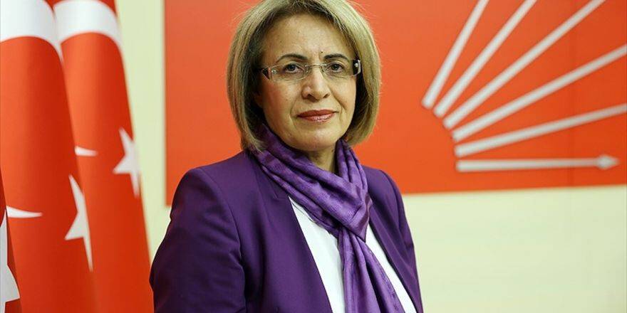 'Bu Referandum Çalışması Bir Parti Çalışması Değil'