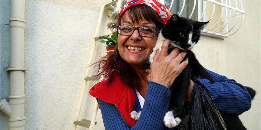 Evi sokak kedilerine açtı