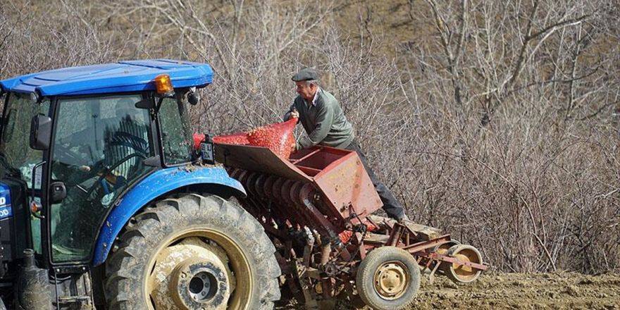 Çiftçinin 'Soğan' Mesaisi Başladı