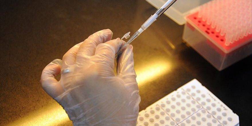 Kan Testi Yumurtalık Kanserinin Erken Teşhisine Yardımcı Oluyor