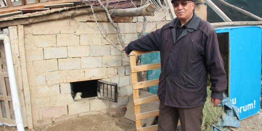 Kar maskeli hırsızlar tavus kuşlarını çaldı 