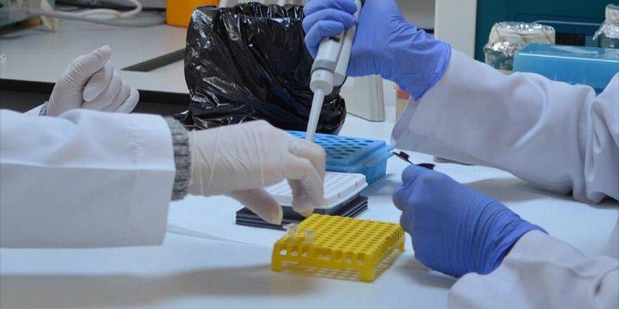 3d Yazıcıyla Suni Embriyo Üretildi
