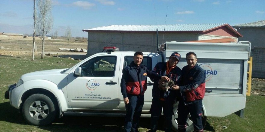 Konya'da köpek kurtarma operasyonu