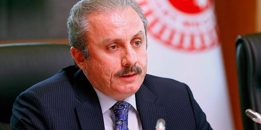 Anayasa Komisyonu Başkanı Şentop'tan Demirtaş'a Yanıt