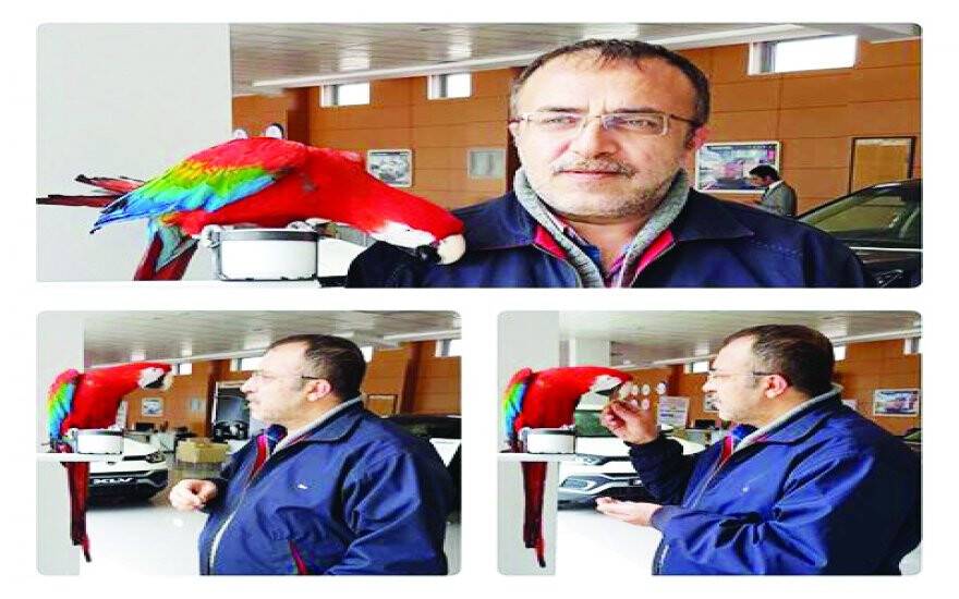 Metin Temiz’in papağanla sohbeti