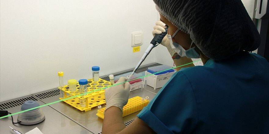 Türk Bilim İnsanlarından 'Tüp Bebek' Yönteminde Yeni Çalışma