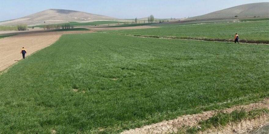 Konya'da aranan kadın bulundu