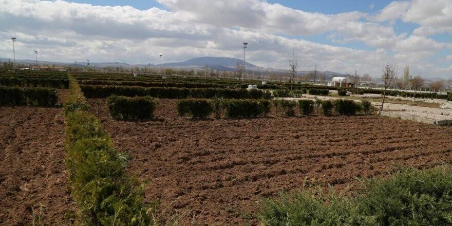Hobi bahçesi başvuruları tamamlandı