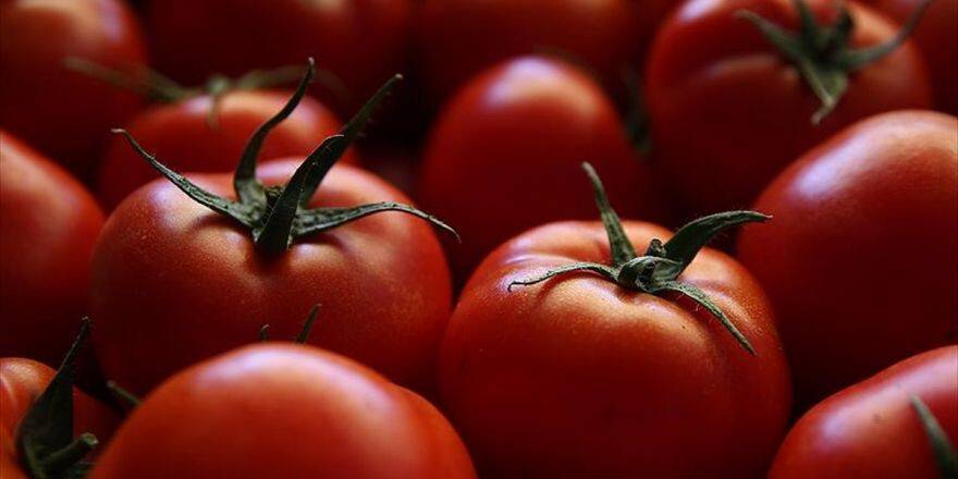Rekoltedeki Düşüş Domates Fiyatlarını Artırdı