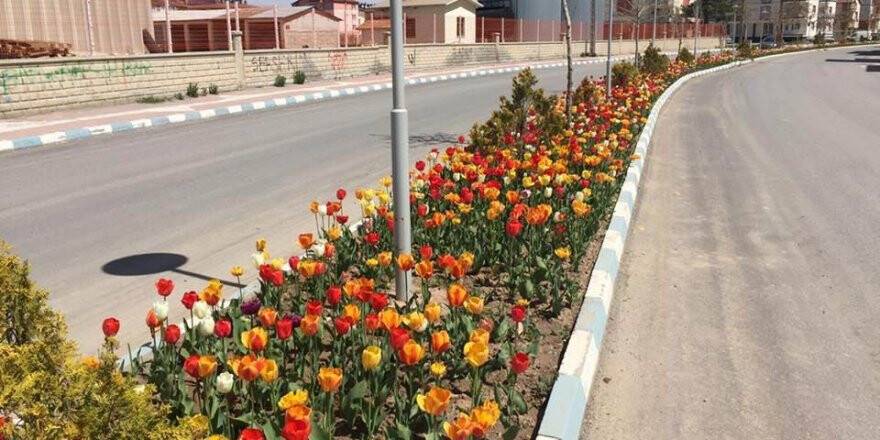 Beyşehir çiçeklerle süslendi