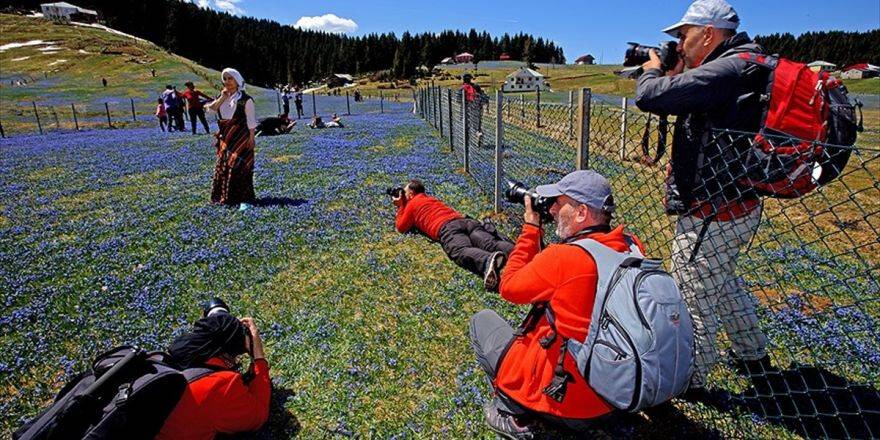 Karadeniz'in Baharı Fotoğrafçılar Büyülüyor