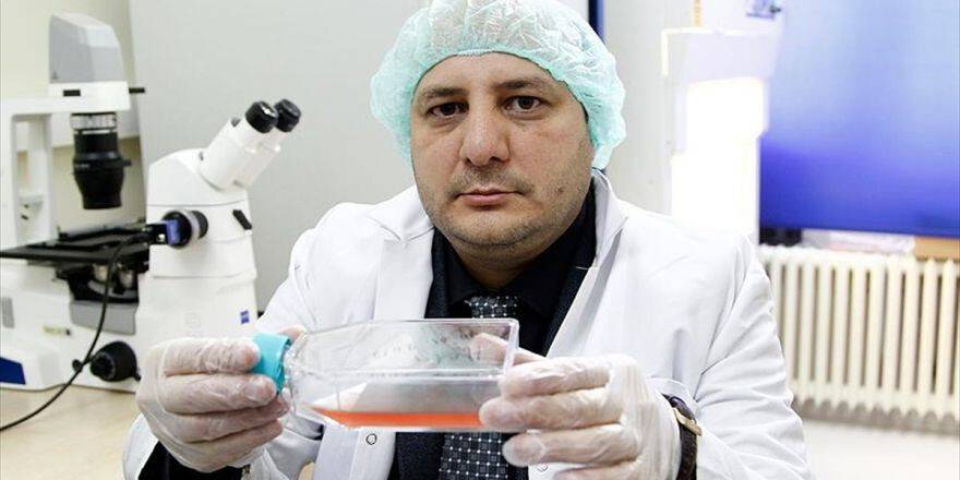 Alzaymır Hastaları İçin Umut Veren Gelişme