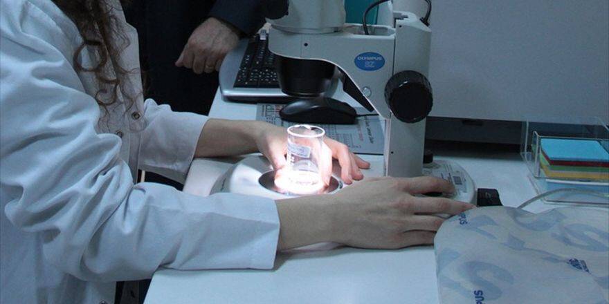 Prof. Dr. Arhan: Ailesinde Kolon Kanseri Olanlar Taramadan Geçmeli