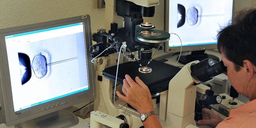 D Vitamini Eksikliği Üreme Fonksiyonlarını Bozuyor