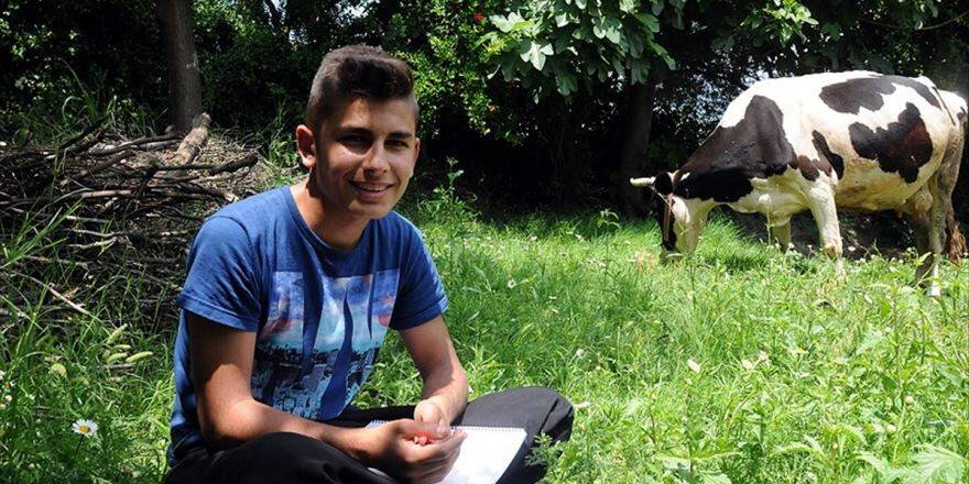 Sınava Tarlada Çalıştı Tüm Soruları Doğru Yanıtladı