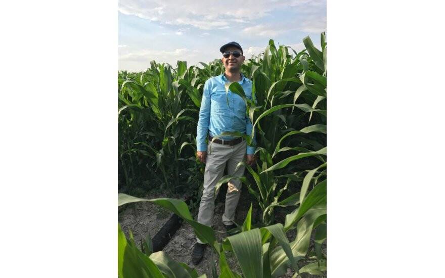 MUSTAFA TOPÇU MISIR  MAHSULLERİ İLE SON DERECE MUTLU