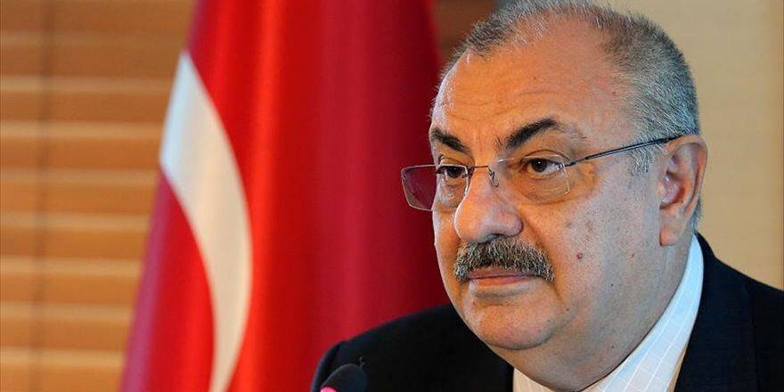 Türkeş'ten Hollanda'nın Açıklamasına Tepki