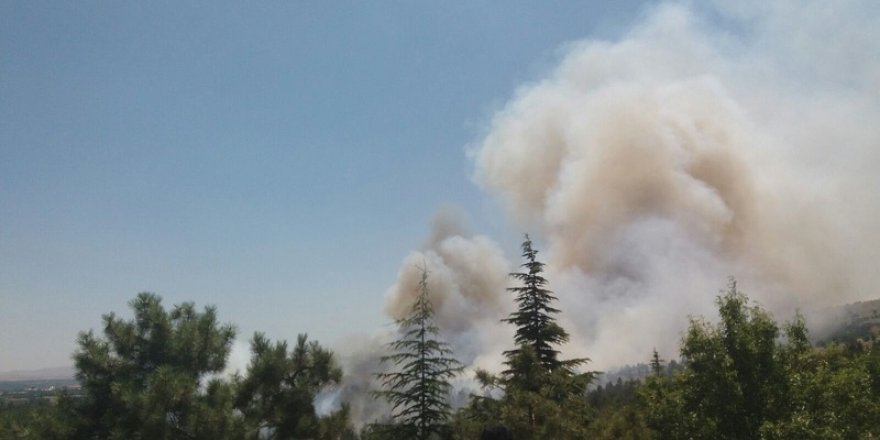 Konya'da Orman Yangını