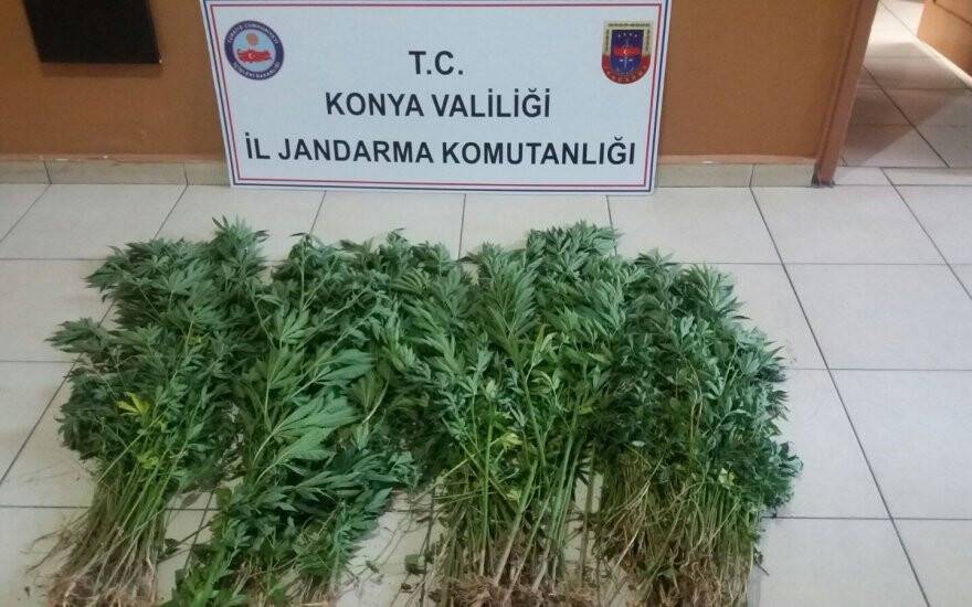 Jandarmadan uyuşturucu operasyonu