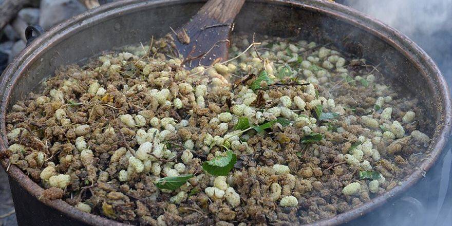 Karadeniz'de Dutun Pekmeze Yolculuğu Başladı