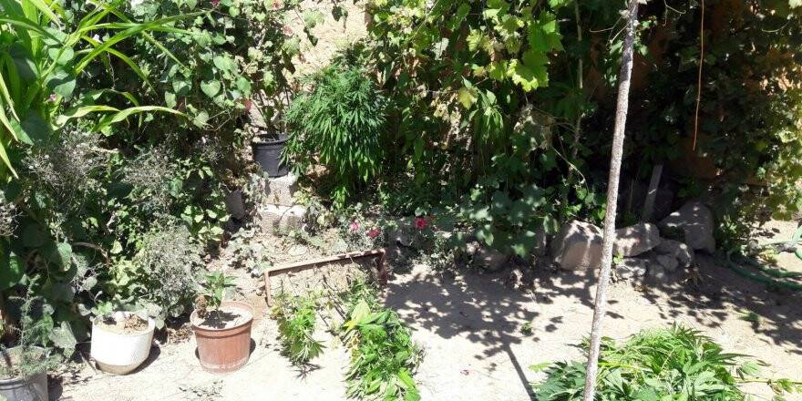 "Esrar olduğunu bilmiyordum"